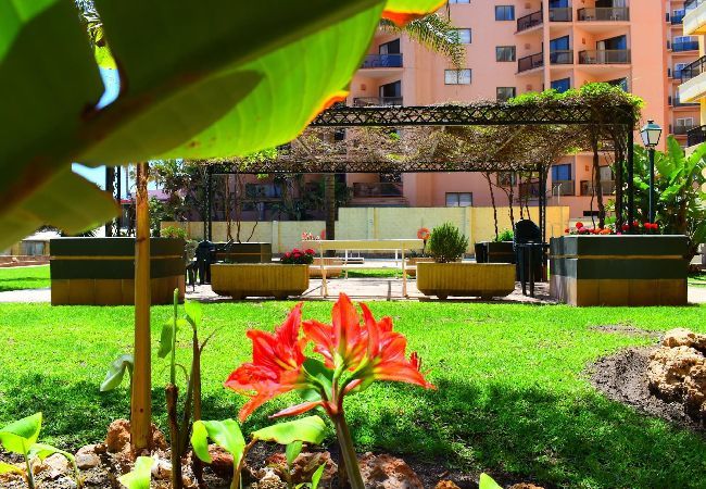 Apartamento en Torremolinos - Amplio apto vacacional a pie de playa en Torremolinos  Apartamento en Torremolinos - Amplio apto vacacional a pie de playa en Torremolinos
