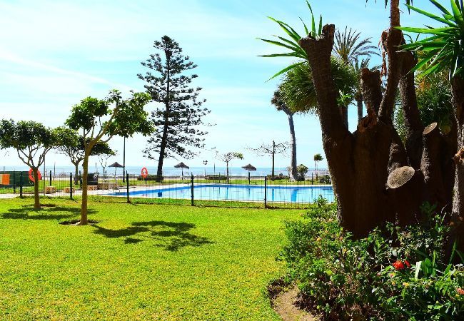 Estudio en Torremolinos - Luminoso estudio frente al mar en Torremolinos Estudio en Torremolinos - Luminoso estudio frente al mar en Torremolinos