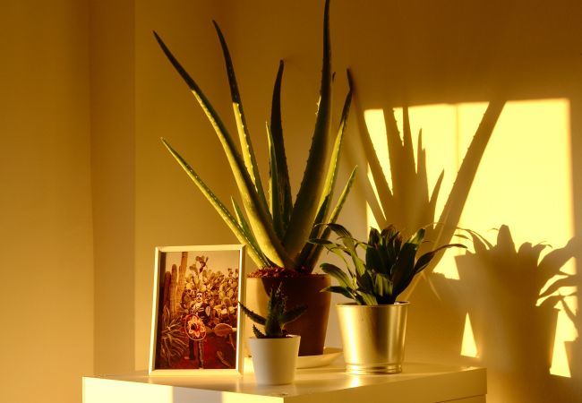 Apartamento en Málaga - Amplio apartamento vacacional con vistas espectaculares en el centro de Málaga Apartamento en Málaga - Amplio apartamento vacacional con vistas espectaculares en el centro de Málaga