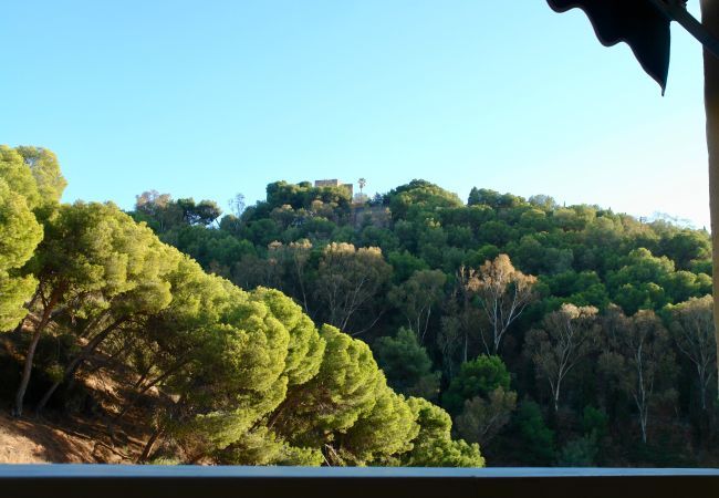 Apartamento en Málaga - Amplio apartamento vacacional con vistas espectaculares en el centro de Málaga Apartamento en Málaga - Amplio apartamento vacacional con vistas espectaculares en el centro de Málaga