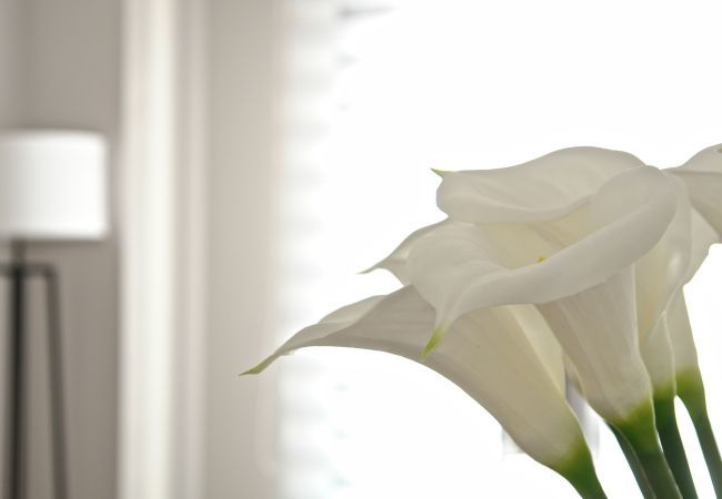 Apartamento en Málaga - Tranquilo apto vacacional en el centro de Málaga Apartamento en Málaga - Tranquilo apto vacacional en el centro de Málaga