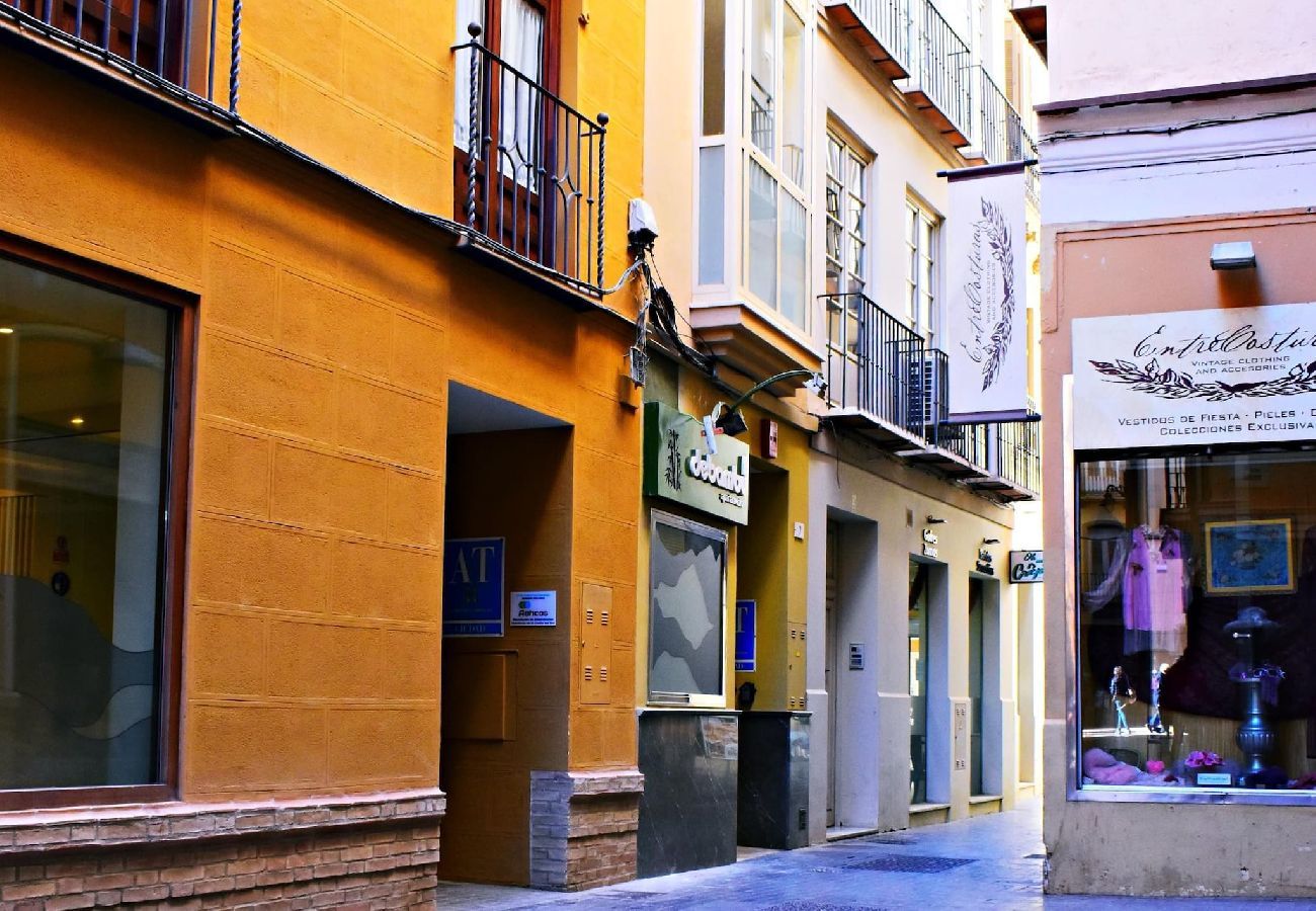 Estudio en Málaga - Espléndido estudio en el Centro Histórico de Málaga. 