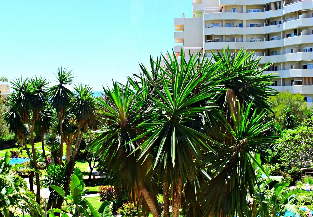 Apartamento en Arroyo de la Miel - Precioso apartamento en BenalBeach frente al mar