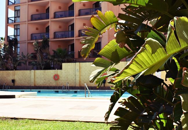 Apartment in Torremolinos - Spacious holiday beachfront flat in Torremolinos Apartment in Torremolinos - Spacious holiday beachfront flat in Torremolinos