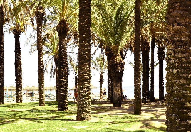 Apartment in Torremolinos - Spacious holiday beachfront flat in Torremolinos Apartment in Torremolinos - Spacious holiday beachfront flat in Torremolinos