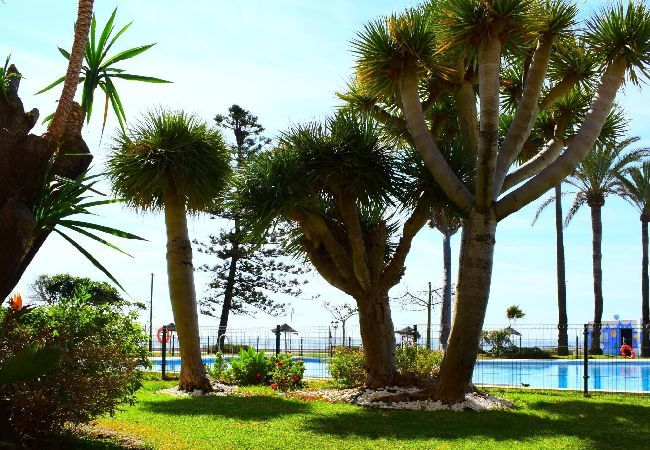 Studio in Torremolinos - Bright studio in front of the sea in Torremolinos Studio in Torremolinos - Bright studio in front of the sea in Torremolinos