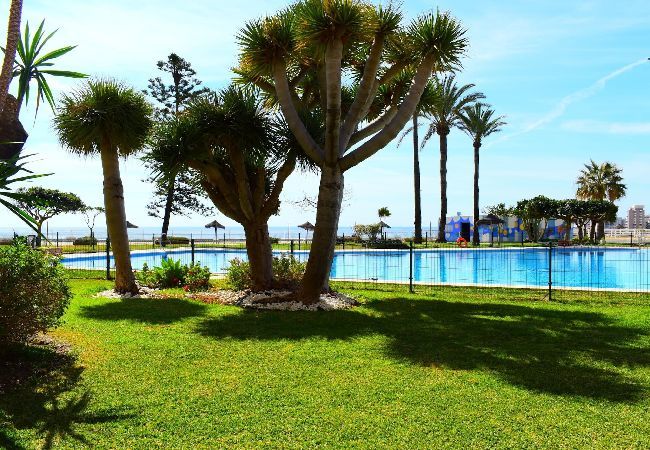 Studio in Torremolinos - Bright studio in front of the sea in Torremolinos Studio in Torremolinos - Bright studio in front of the sea in Torremolinos