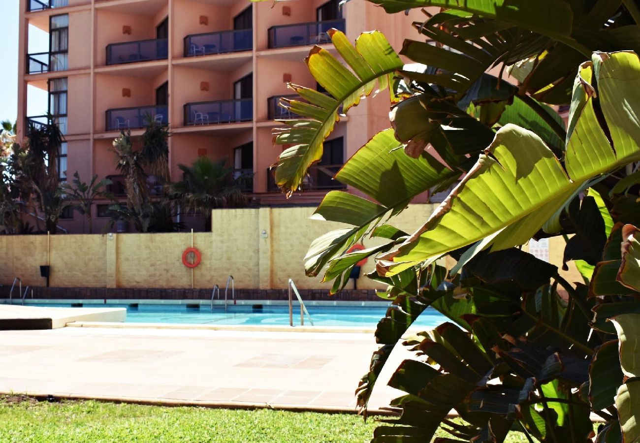 Apartment in Torremolinos - Spacious holiday beachfront flat in Torremolinos