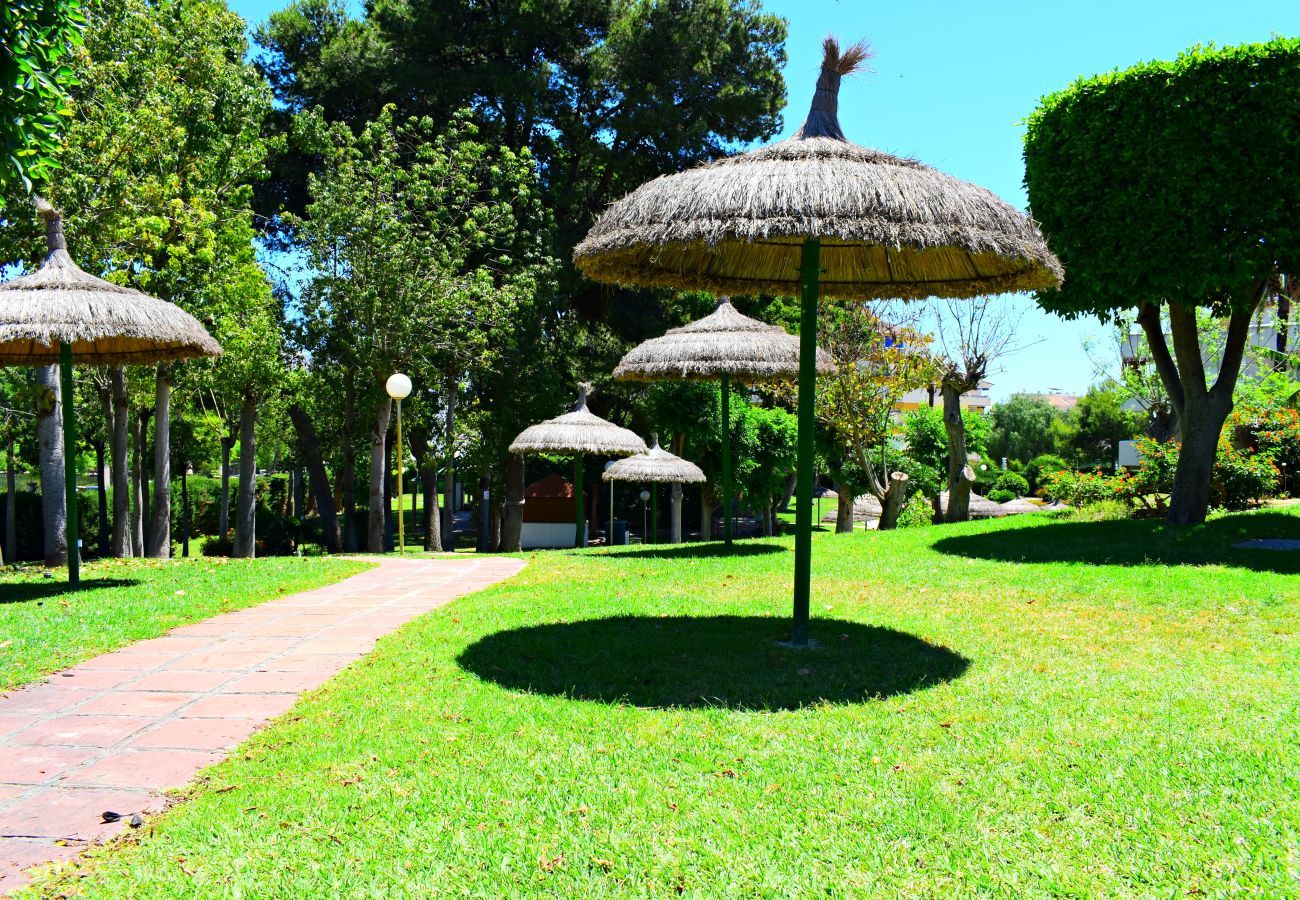 Apartment in Arroyo de la Miel - Beautiful flat in BenalBeach in front of the sea